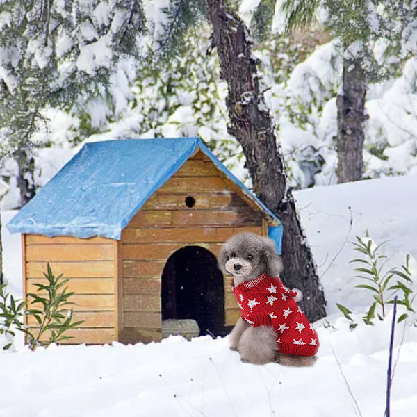 1 st röd hundkläder Jul Snöflinga tröja Halloween husdjur kläder tröja