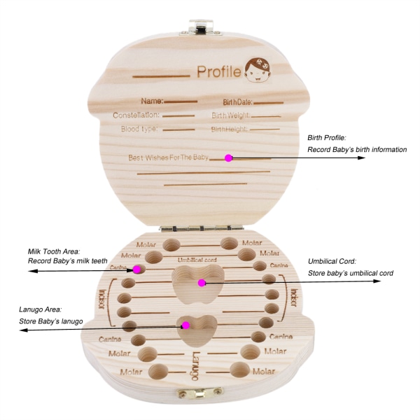 Vit färgversion Baby Milk Teeth Organizer Infant Tooth Wood