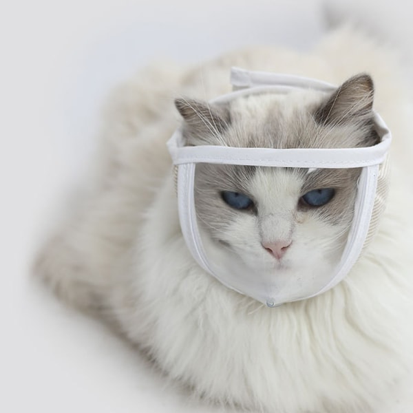 Andningsbar transparent kattmask, husdjursklosax, badmunstycke för att förhindra ömsesidigt bett