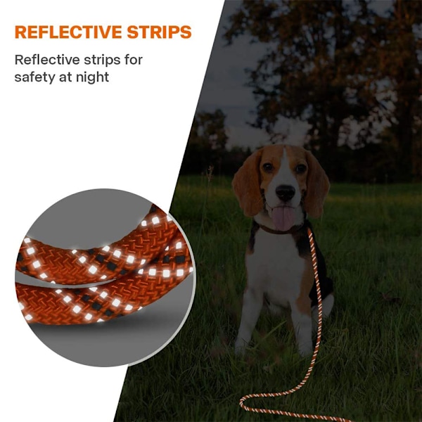 Lang line for hundetrening - Refleksjonsbånd i nylon, sjekktau for hunder på tur, camping