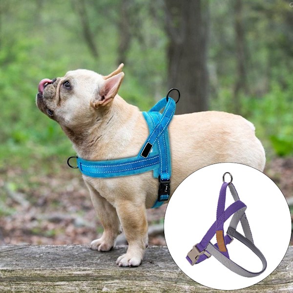 Hundevest med bryststropp for store hunder med gåseleie for golden retriever.