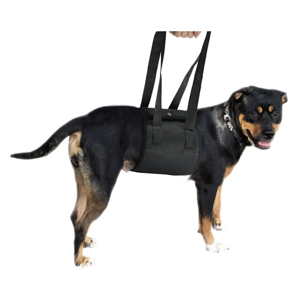 Hundsele för hundar med stöd för bakben, höft, knä och hasled för att hjälpa till att lyfta hundens bakdel (svart)
