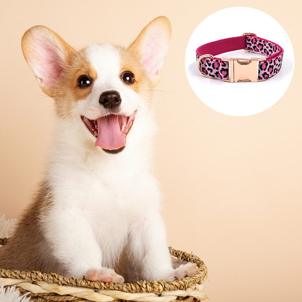 Halsband för hund med plastspänne, inspektör, svart och rosa