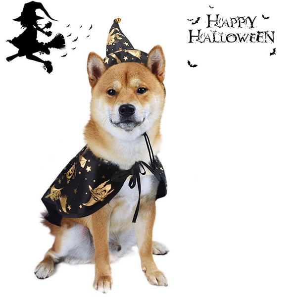 Halloween Kappe med Tryllehat til Hunde og Katte