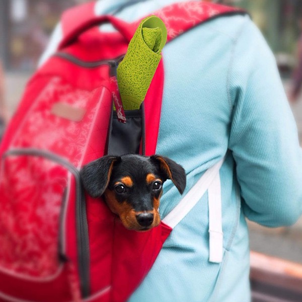 Sød Kat PVC Foder Skål Pad Anti-Skrid Foder Måtte til Hund Kat Hvalp