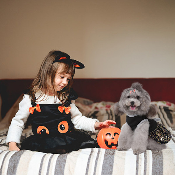 1 Set Kurpitsa Hämähäkinverkko Halloween Lemmikkieläinten Tarvikkeet Koiran Vaatteet Noita Mekko Lemmikki Koiran Asuste Lepakko Mekko Joulupäivä
