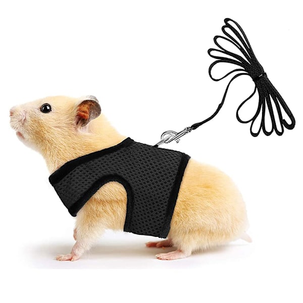 Liten husdjursele med klocka, ingen dragkomfort vadderad väst hållbar nylon, marsvinssele koppelset alla årstider för liten kanin, iller, råttor, leguan,
