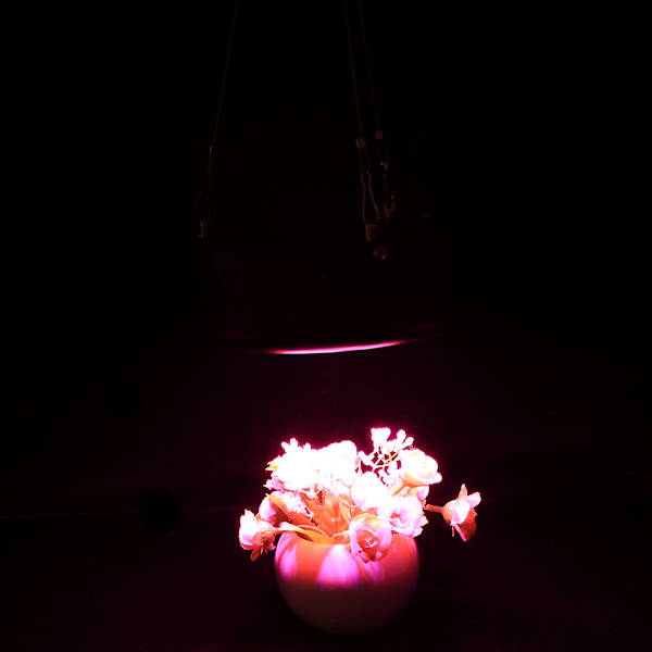 Full Spectrum UFO LED Vækstlys til plantevækst og spiring - 150W Sort AU Stik