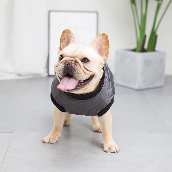 Hundekattekåbe med snoranker Farve Hvalpevestjakke Teddy Chihuahua Kostumer Pug Tøj (Grå)