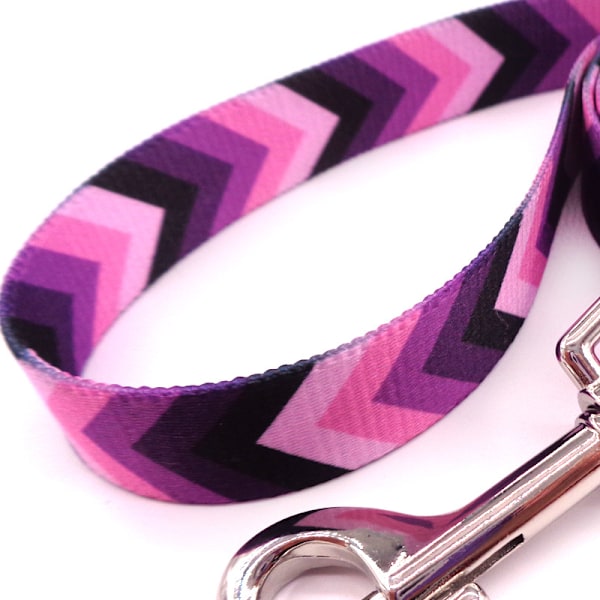 8 'søte mønster nylon hundebånd og justerbart hundekrage kombinasjon for små og mellomstore hunder