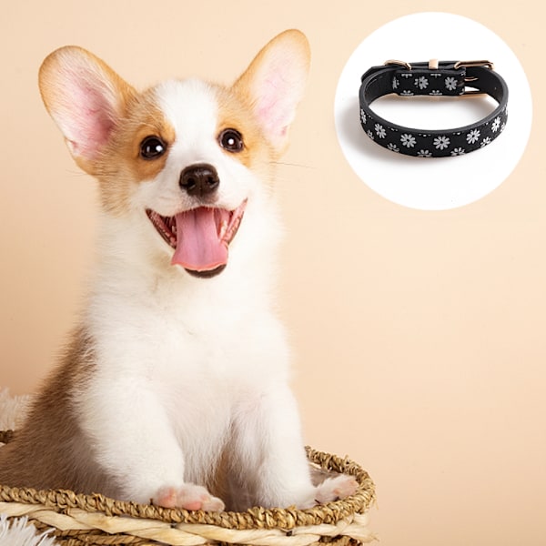 Buckles-koiranpanta vyölukkojen kanssa Daisy-kuvio, musta, valkoinen ja keltainen