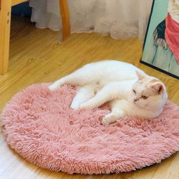Pomeranianin pieni koiranpentu matto pyöreä Plus-lemmikki matto kissa Teddy