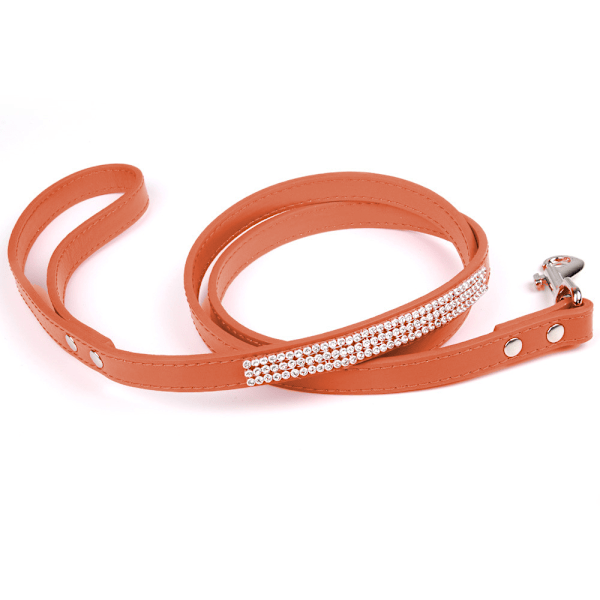 Hundeleie - Hundeleie for mellomstore og små hunder/katter, trening, gåing og løping