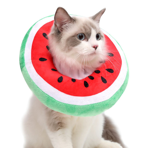 Justerbar kattkon krage mjuk, söt katt återhämtnings krage, katt kottar efter operation för kattungar (vattenmelon)