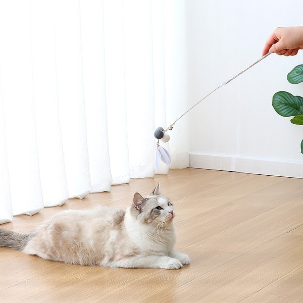 Kattfjäderleksak, interaktiv kattretrakterbar fiskespö, rolig katt