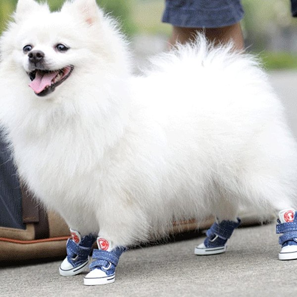 Koiran kengät Sneaker Lemmikin Tarranauha-Kangaskengät Chihuahua Pentu Liukumattomat Saappaat Urheilu Liukumaton Tassunsuoja