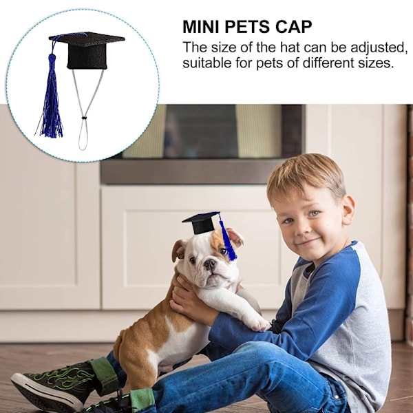 Mini Pet Graduation Caps Mini Bachelor Hat för Marsvin