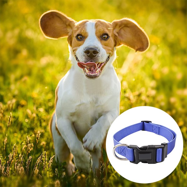 Hundekrave Gradient blød spænde komfortabel nylon justerbar kæledyrs krave til store, mellemstore og små hvalpe