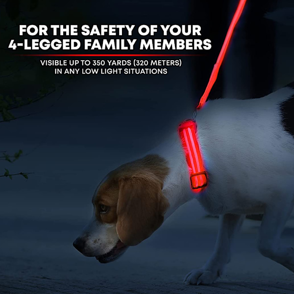 LED-koiranpanta USB-latauksella – Kirkas ja erittäin näkyvä valaistu panta lemmikkieläinten yökävelyihin