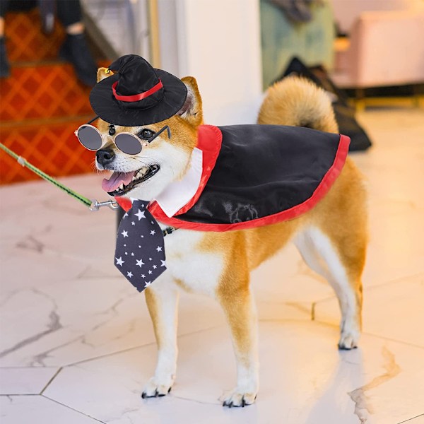 Lemmikkieläinten Halloween-asu Koiran viitta ja hattu