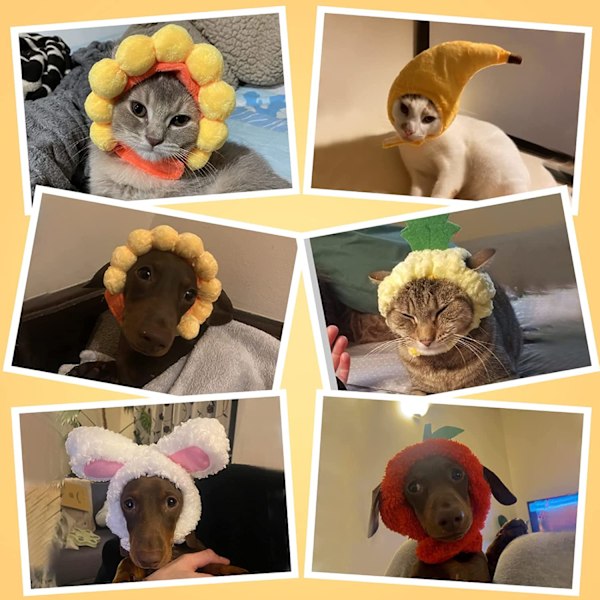 5 stk. Søde Kattens Hatte med Kaninører Banan Solsikke Frugt Ananas Kasket Fest Kostume Tilbehør Hovedbeklædning til Kat Killing Hvalp Kæledyr
