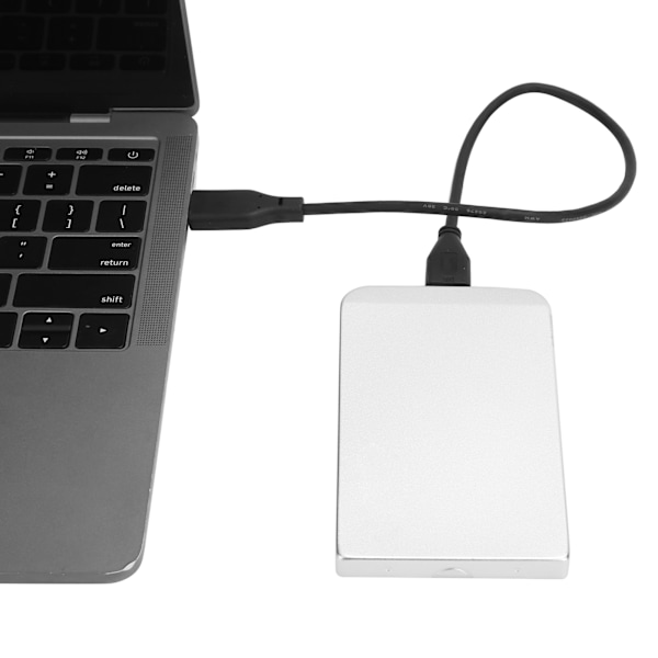 Hårddisk USB3.0 Lagring 2.5 tum Mobil Extern Disk Dator Bärbar Dator Tillbehör Silver 320GB