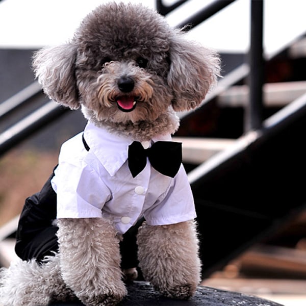 Stilful Hundetuxedo Skjorte med Sløjfekrave, Gentleman Hvalpe Outfit, Ferie Bryllup Fødselsdagsfest