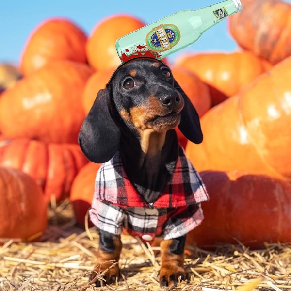 Halloween Kostume til kæledyr - Flaskehovedbånd, Blodige Hovedbeklædninger til Hunde og Katte, Hvalpe-Trick-Tilbehør til Cosplay-Fester