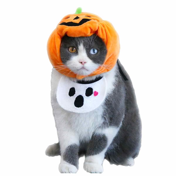 Halloween hatt Kattung Pumpa hatt Valp fest Rollspel trick kostym Husdjur söt huvudbonad