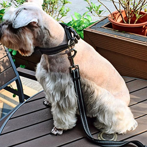 Hundekrave med tynd blå tråd