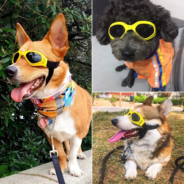 Hundglasögon Hundsolglasögon Justerbar Rem för UV-solglasögon Vattentätt Skydd för Hund