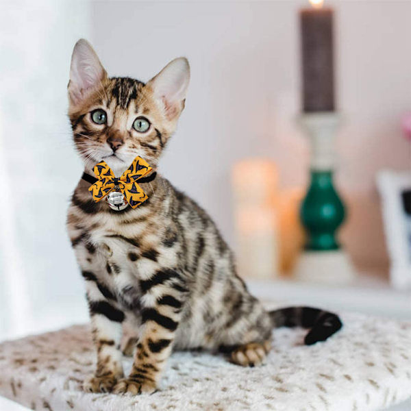 2-pack Halloween kattkrage med rörlig fluga, säkerhetsbortbrytningskrage med klockor (justerbar storlek från 22-36 cm)