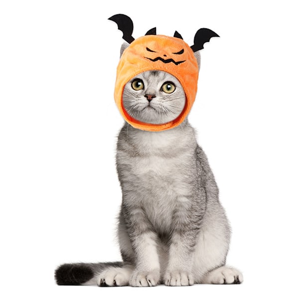 Koiran Halloween-hattu Kissankurpitsa Lepakko Hattu Pennun Juhla Cosplay-asu Lemmikin söpö pääpanta Festivaalin pääasuste Kissalle ja Pienille Koirien
