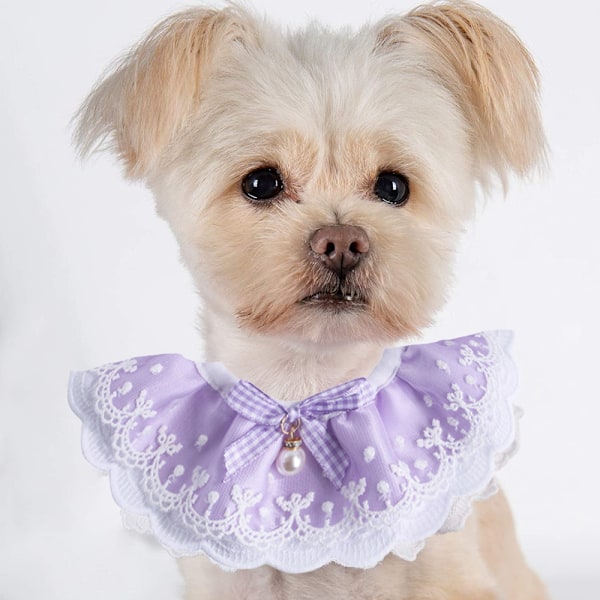 2PCS Hund Katt Halsband Vattendroppe Pärla Båge Spets Husdjur Haklapp Söta Halsdukar Halsband Halsrem för Husdjur Kostym Tillbehör