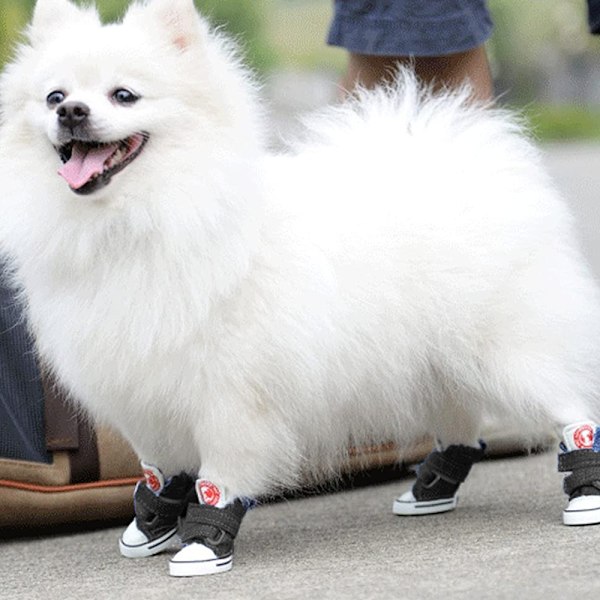 Koiran kengät Sneaker Lemmikin Tarranauha-Kangaskengät Chihuahua Pentu Liukumattomat Saappaat Urheilu Liukumaton Tassunsuoja