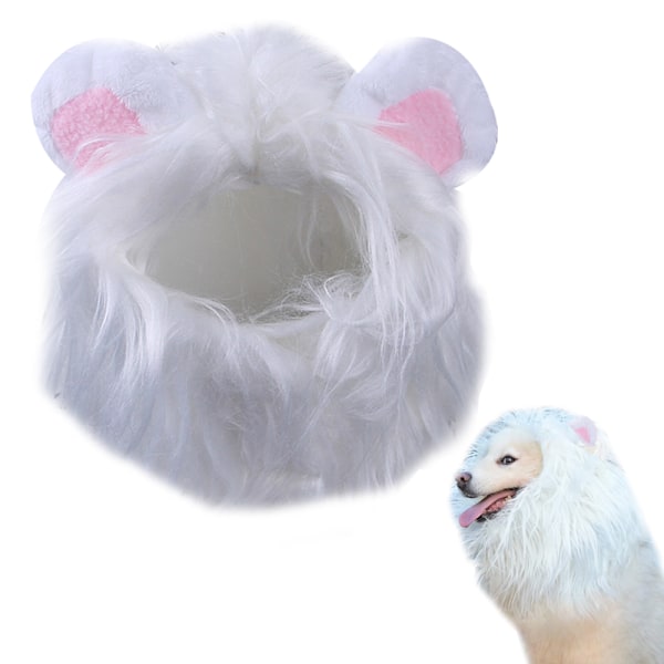 Huvudbonad för husdjur, peruk, hatt, hund, katt, pannband, lejonhuvudband
