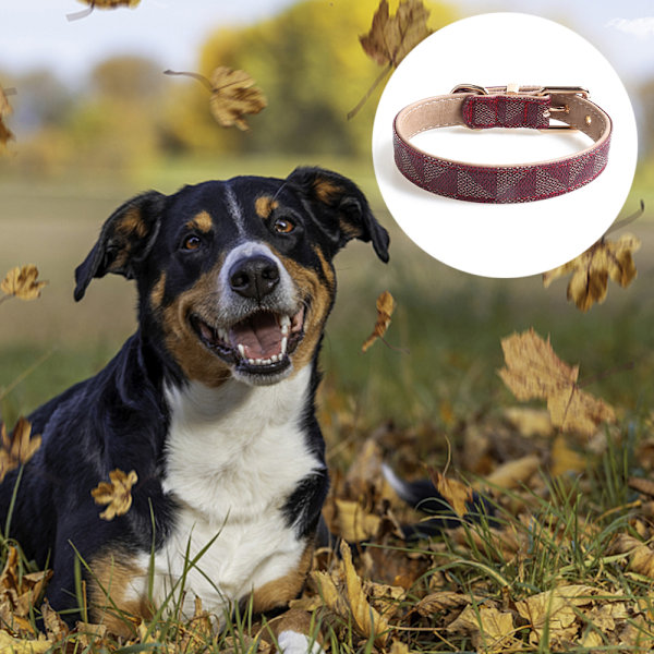 Läder hundhalsband och koppel set, rutigt hundhalsband rem metallspänne justerbar och hållbar