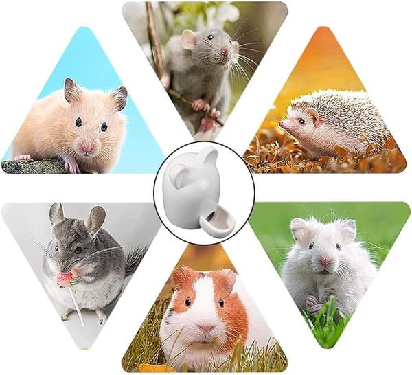 Ceramic Pet Bottle, Small Water Dispenser, Silent Water Container, Hamster