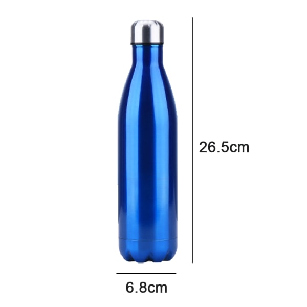 Stainless Steel Water Bottle, Great for Travel, Picnic& Camping.