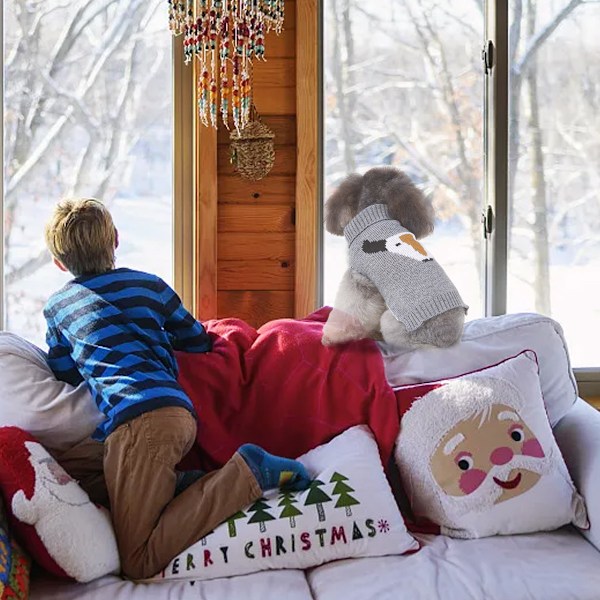 Hund Jultröjor Husdjur Vinter Stickat Kläder Jul Kläder Klassiska Varma Rockar Tröja för Valp