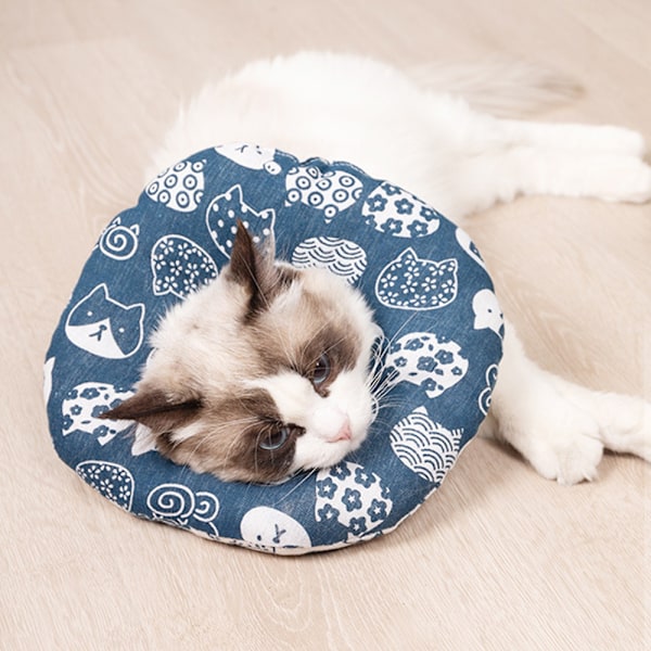 Söt kattkon, tecknad katt återhämtningskrage för katt sår läkning
