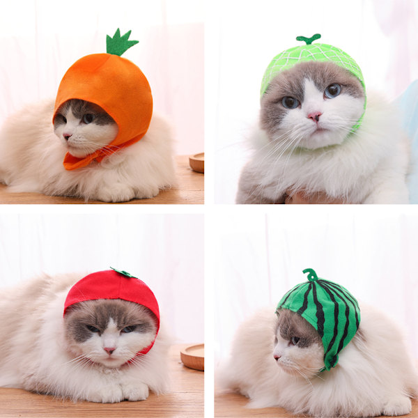 Kostym för katt Kläder katt Klä ut Liten hund Kostym Kläder husdjur Halloween Cosplay