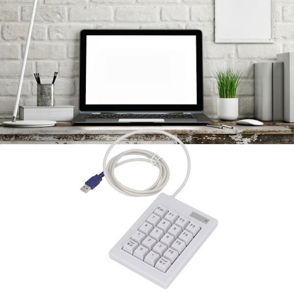 20-Tasts Numeriskt Tangentbord DC 5V Linjär Aktionsbrytare USB Trådbunden Mekanisk Numpad med Halkskyddande Matta för Laptop Datorer