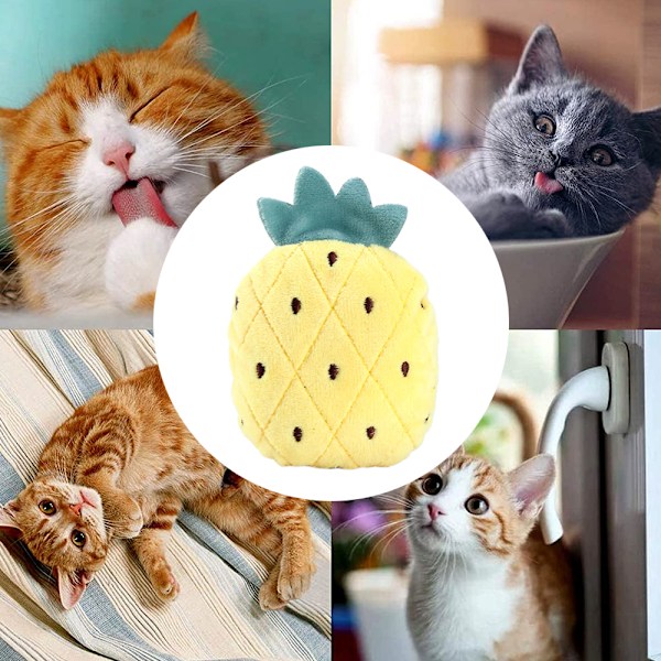 6 st kattmynta katt leksak rolig katt tuggleksak tänder rengöring anti-bite söt frukt plysch leksak