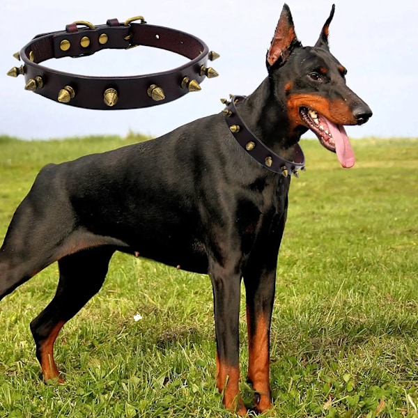 LOVPE enkel rad guld nitar läder hund/katt halsband med guld strass spänne