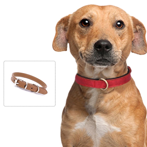 Hundhalsband Läder Valphalsband Justerbara Hundhalsband för Små Hundar Flerfärgad Husdjurshalsband