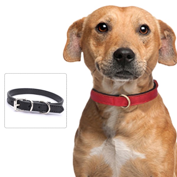 Hundhalsband Läder Valphalsband Justerbara Hundhalsband för Små Hundar Flerfärgad Husdjurshalsband