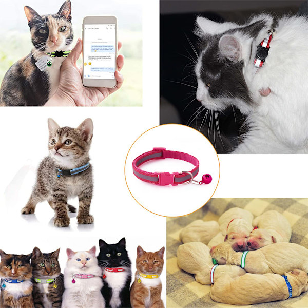 Valp Halsband, D Halsband Justerbar Breakaway 19-32cm, Kull Identifiering Halsband för Hund Valp