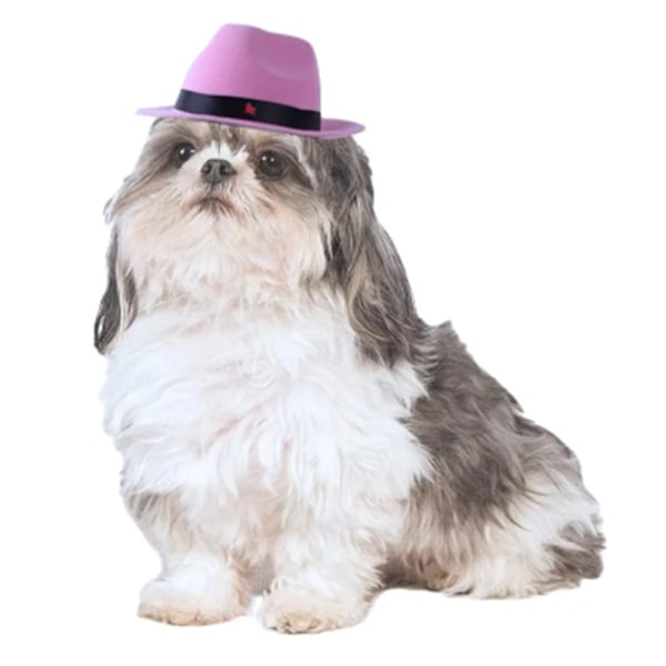Hatt for kjæledyr, hund, stilig femspissstjerne-mønster, cowboyhatt, katt, morsom hodeplagg
