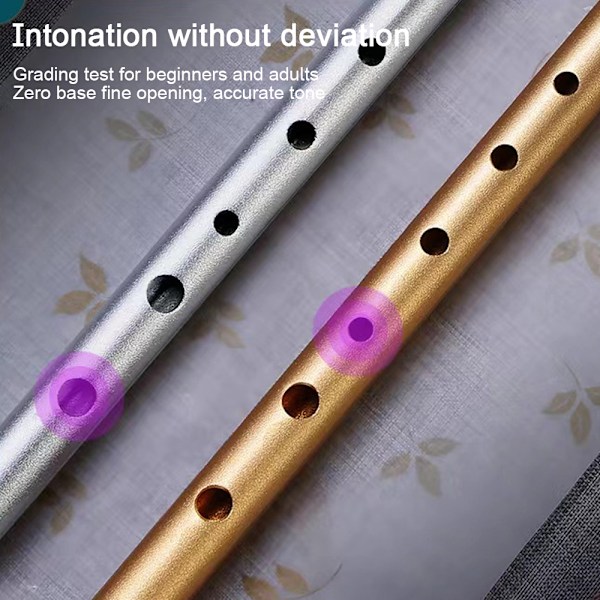 Irsk Tin Whistle i C/D-toneart, Irlands Klassiske Keltiske Folkeinstrument | Lett å lære, for Nybegynnere